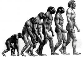 Британские ученые обнаружили аномалии в истории эволюции человека