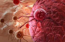 Вызывающие рак антипирены проникают в организм за сутки