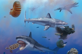 В Мексике обнаружили окаменелости древнего предка белой акулы