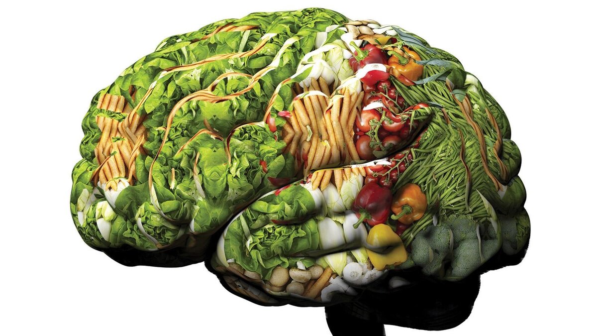 Невролог Евдокимов обозначил продукты для улучшения работы мозга