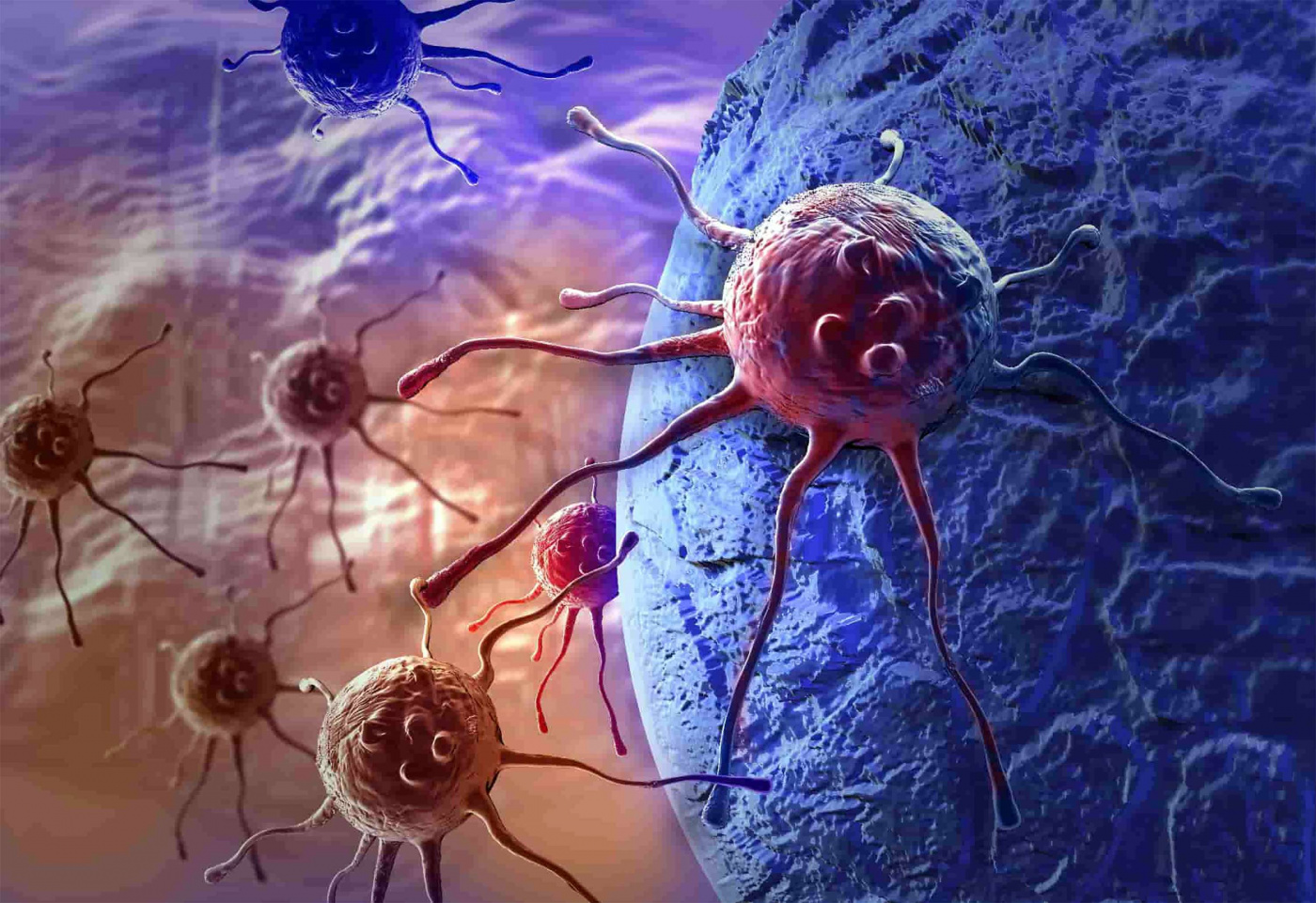 Ученые назвали простой способ помочь организму в борьбе с раком