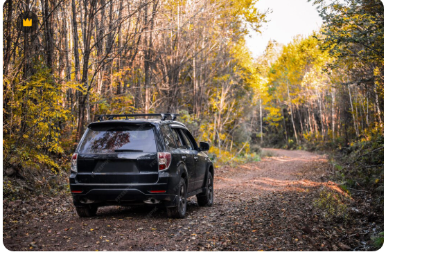 Спорткроссовер Nissan X-Trail Nismo сняли на фото