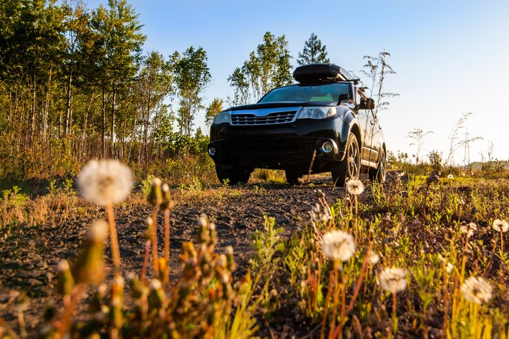 В Белоруссии прошел дебют обновленного внедорожника Dongfeng Paladin New