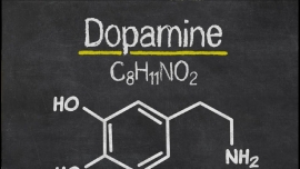 Установлена связь между дофамином и снижением ценности воспоминаний