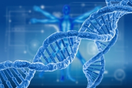 Ученые опровергли влияние генов на социальный интеллект человека
