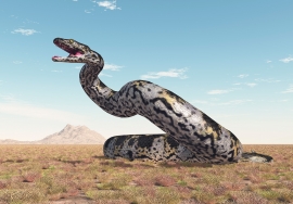 В Индии найдены останки древней 15-метровой змеи