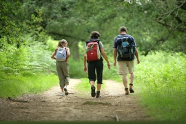 Прогулки на природе улучшают психическое здоровье