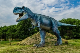 Ученые выяснили реальные размеры тираннозавров
