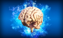 Невролог Шулев обозначил доступные методы продления молодости мозга