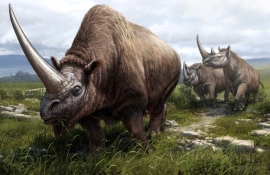 В Астраханской области обнаружили останки носорога-эласмотерия