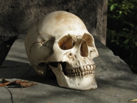 Опухоли были обнаружены в черепах с Пиренейского полуострова времен Римской империи