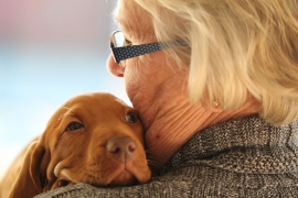 Ученые установили, что у владельцев собак реже развивается деменция